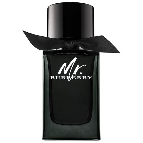 mr burberry 1 oz|mr burberry sephora.